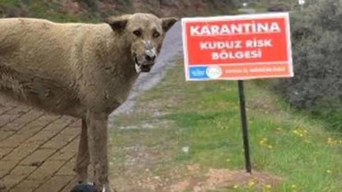 Engellediğiniz kişinin etrafınız da gezinmesi sizi rahatsız eder mi?