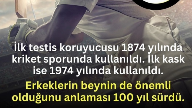 Sizin için en önemli organ neresi?
