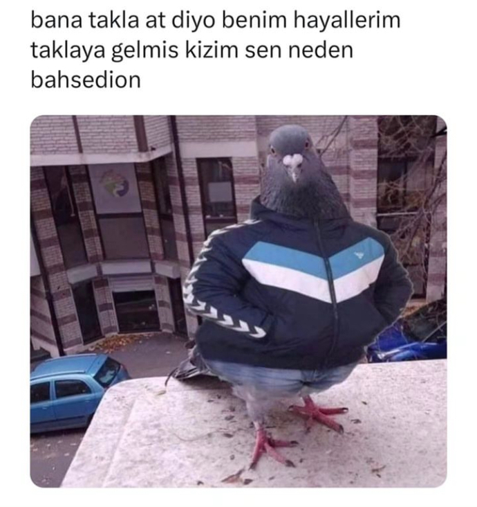 Hayalleriniz taklaya geldi mi?
