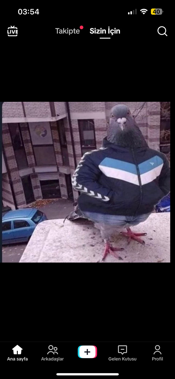 Hayalleriniz taklaya geldi mi?