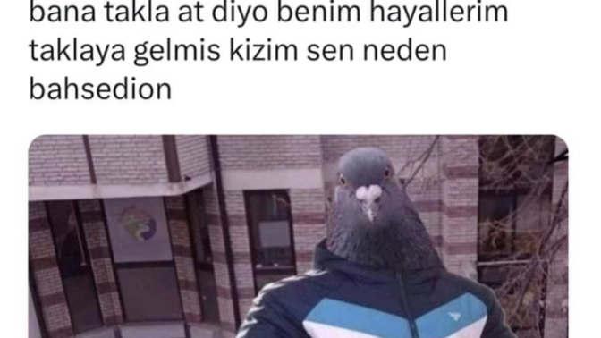 Hayalleriniz taklaya geldi mi?