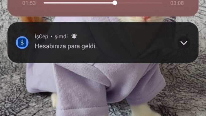 En çok sevdiğiniz bildirim nereden geliyor?