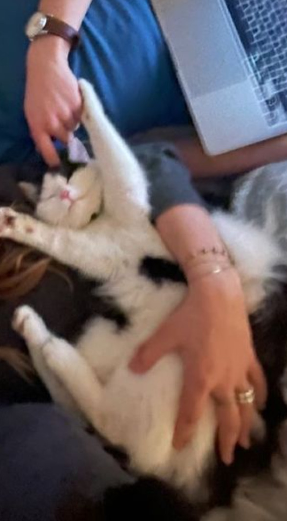 Çok tatlı değil mi Ponçiksu?