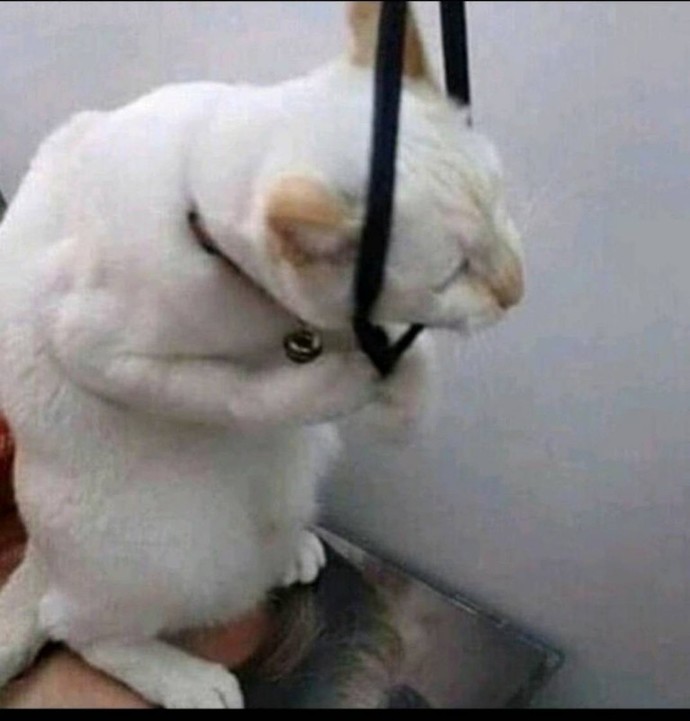 Gördüğüm rüyadan dolayı uyandım çok korktum rüyamı unuttum şimdi uyuyamıyorum ne yapmalıyım sizce?