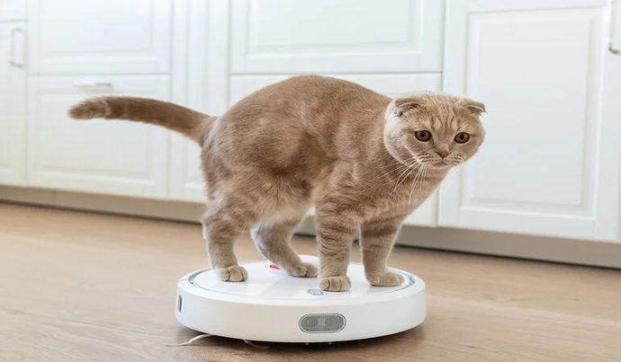 Evcil hayvanın olduğu evde robot süpürge tehlikeli oluyor mu?