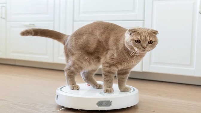 Evcil hayvanın olduğu evde robot süpürge tehlikeli oluyor mu?