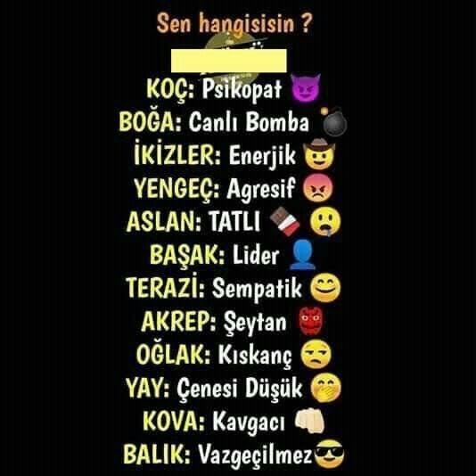 Burcuna göre sen hangisisin?