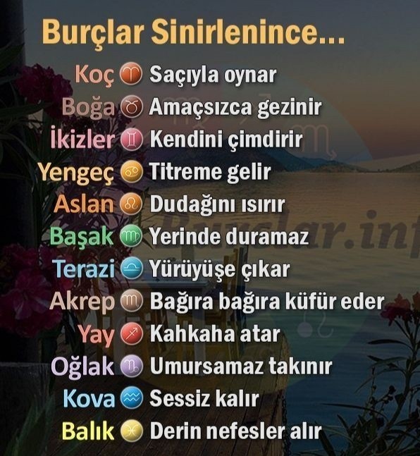 Burcuna göre sinirlenince naparsın?