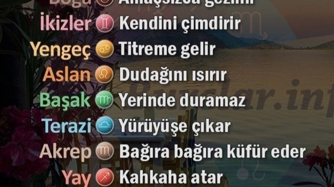 Burcuna göre sinirlenince naparsın?