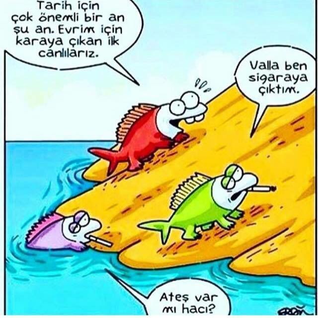 Hayatın Monotonluğundan Kurtulmak İçin İzlediğiniz Film Ya Da Dizi Var mı? Yok İse Bu Ruh Halinden Kurtulmak İçin Ne Yaparsınız?