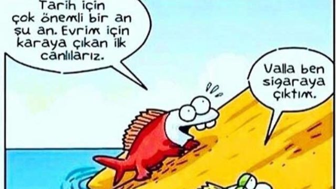 Hayatın Monotonluğundan Kurtulmak İçin İzlediğiniz Film Ya Da Dizi Var mı? Yok İse Bu Ruh Halinden Kurtulmak İçin Ne Yaparsınız?