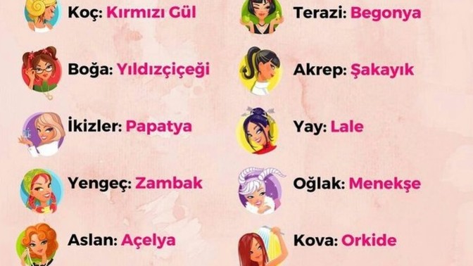 Burcuna göre favori çiçeğin hangisi?