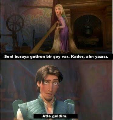Bir hayvan olsaydınız hangi hayvan olurdunuz?