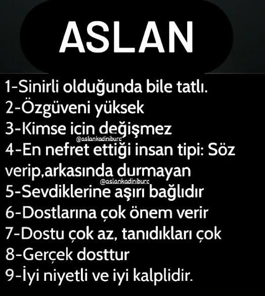Aslan burcu kadınları hakkında ne düşünüyorsunuz?