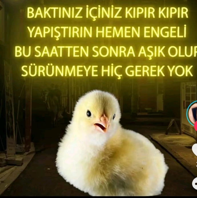 Aşk süründürür mü?