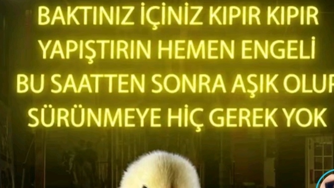 Aşk süründürür mü?