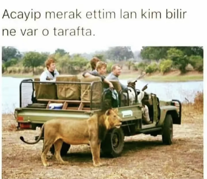 Bugün an itibariyle neyi merak ediyorsunuz?