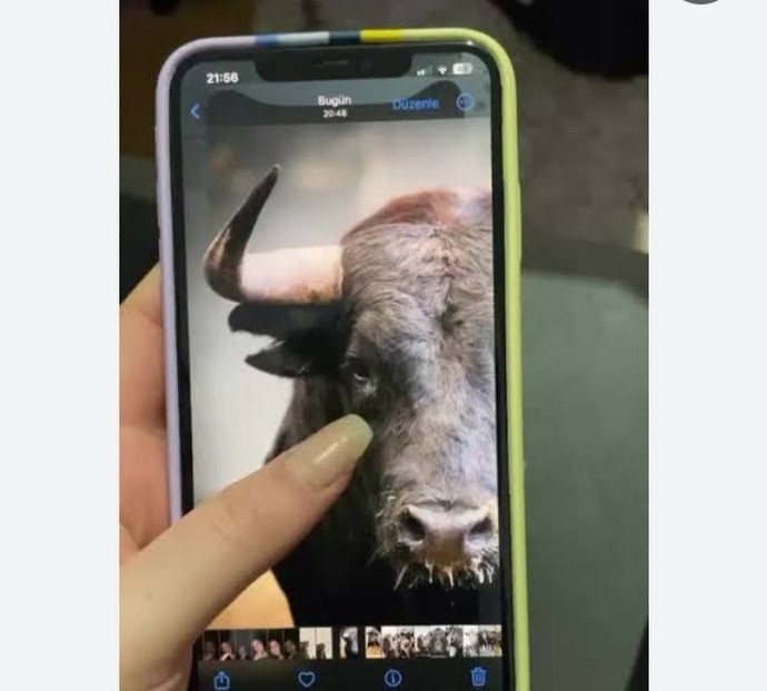 Yakmaya kıyamadığınız fotoğraflar var mı?