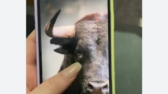 Yakmaya kıyamadığınız fotoğraflar var mı?