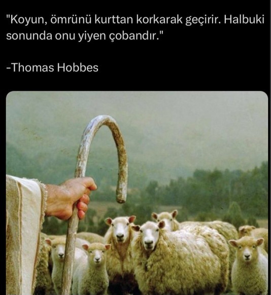 Bugün okuduğun en güzel cümle?