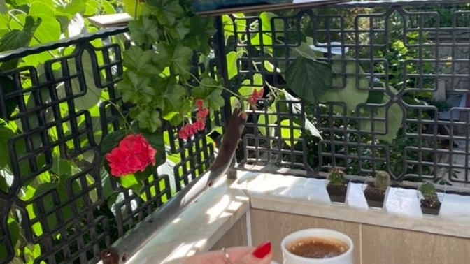 Günde kaç fincan kahve içiyorsunuz?