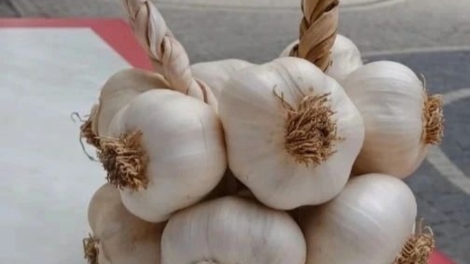 Sevdiğinize tek taş değil tek diş alın olur mu?