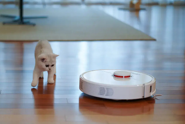 Robot süpürge gece mi yoksa gündüz mü çalıştırılır?
