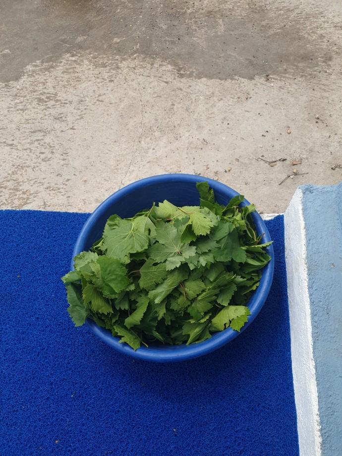 Yiyecek&İçecekler den hediye olur mu?