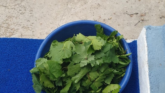 Yiyecek&İçecekler den hediye olur mu?