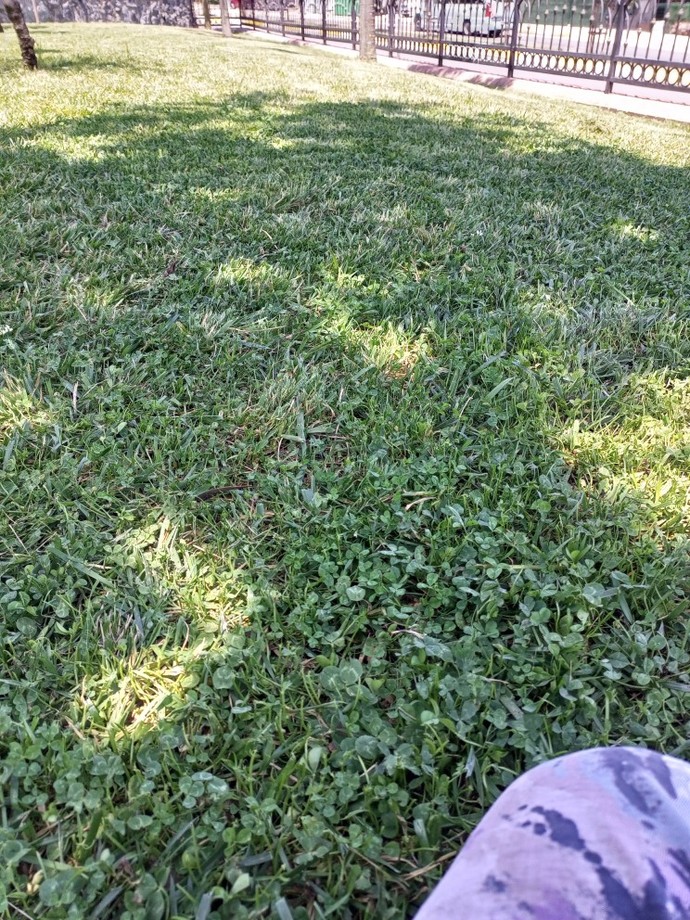Şuraya uzansam kene falan varmıdır acaba?