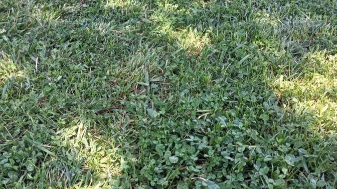 Şuraya uzansam kene falan varmıdır acaba?
