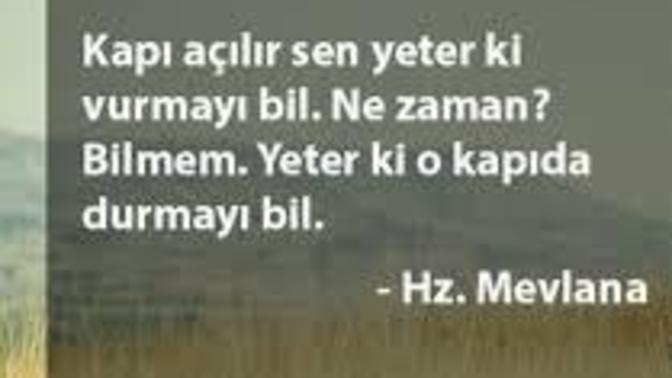 Büyüklerin size verdiği tavsiyeri ne kadar ciddiye alıyorsunuz?