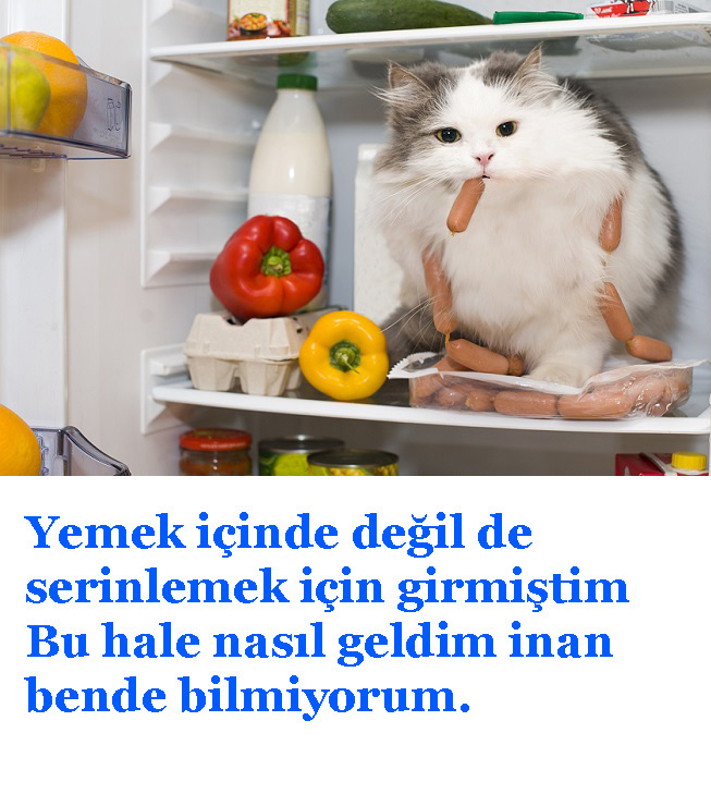 Yazın en sıcak günlerinde serin kalmak için hangi moda ipuçlarını kullanıyorsunuz?
