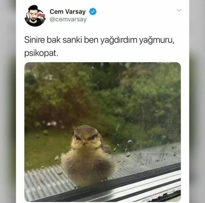 Biri size içinden gelerek bir şey yapsa tepkiniz ne olur?