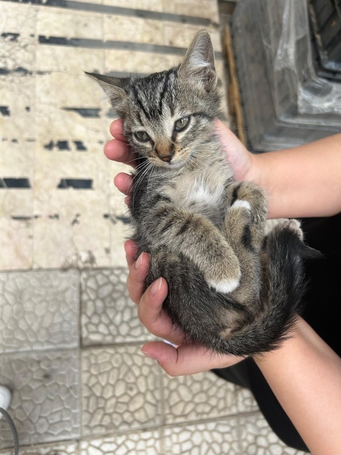 Ben şimdi bu güzelliği ekmek arası mı lavaş arası mı yiyim?