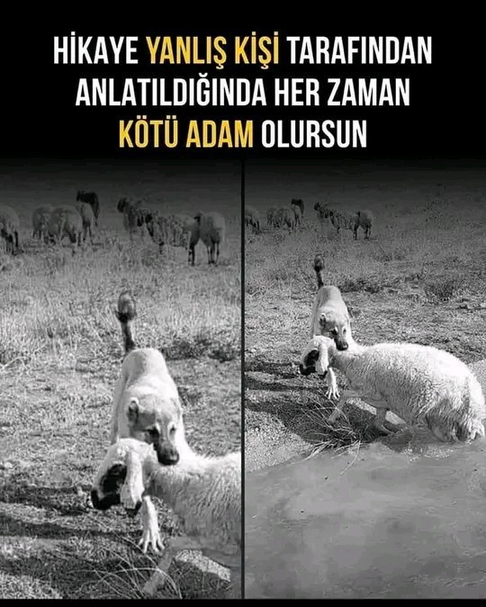 Siz kötü olan misiniz?
