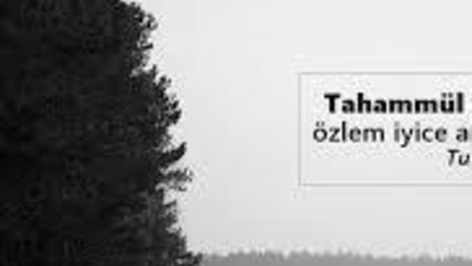 Neye, ne kadar tahammülünüz kaldı?