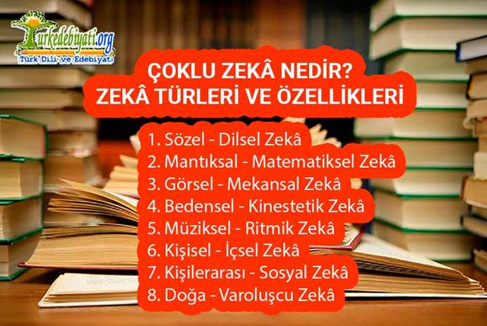 Hangi zeka türünüzün daha çok ön planda olduğunu düşünüyorsunuz?