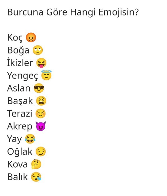 Burcuna göre hangi emojisin?