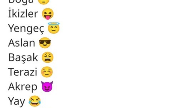 Burcuna göre hangi emojisin?