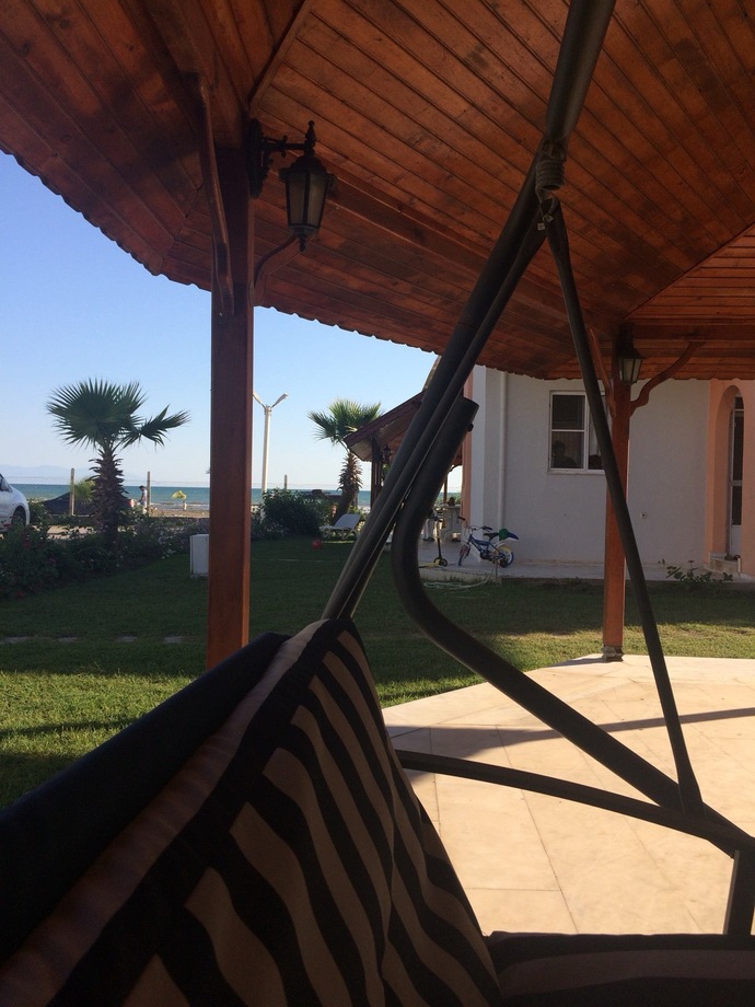 🌴