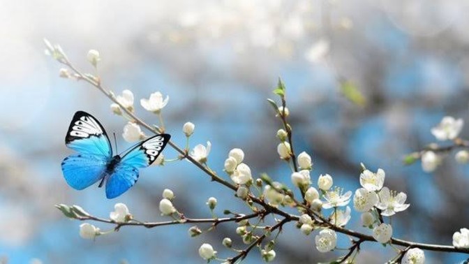 Hangi mevsimde evi temizlemek sizin için daha kolay?