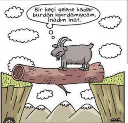 Keçi inadının tıpta bir tedavisi varmıdır?