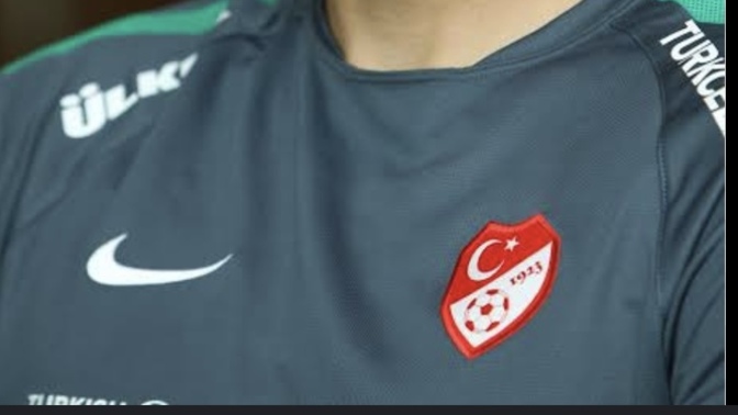 Sarışın erkek mi seversiniz esmer erkek mi?