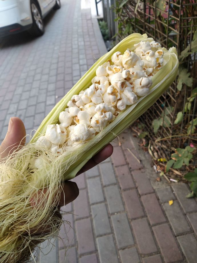Bu ne sıcak yaa aldığım mısır elimde ne hale geldi bakar mısınız?