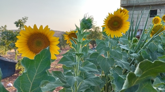 Hayatta ne kadar yanlış anlaşıldınız?