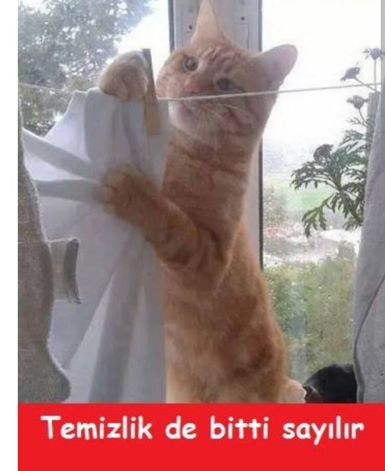 Ayda yılda bir perde asan erkekler buna neden sürekli söylenip duruyor?