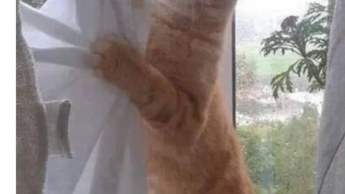 Ayda yılda bir perde asan erkekler buna neden sürekli söylenip duruyor?