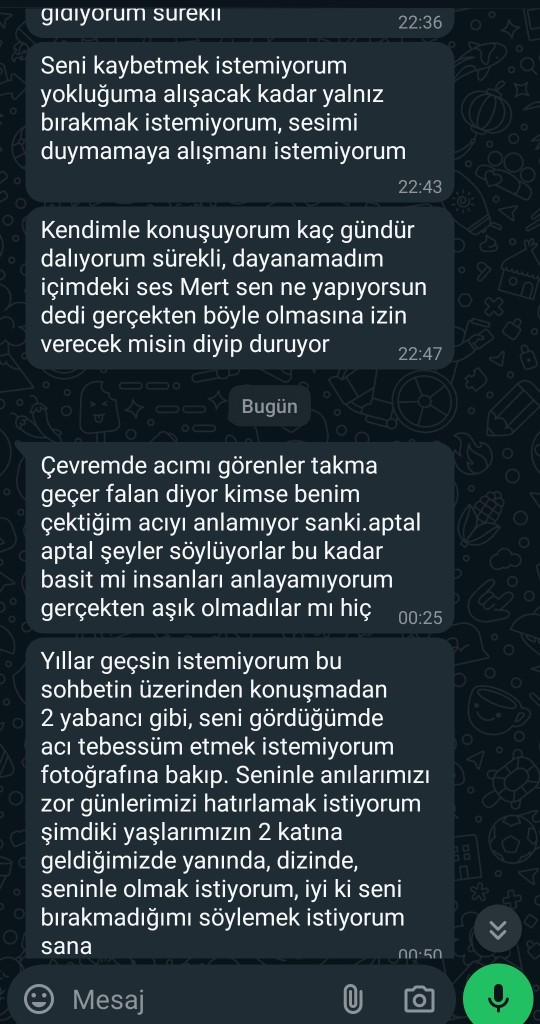 Beni aldatan eski sevgilimin mesajladını nasıl yorumlarsınız?