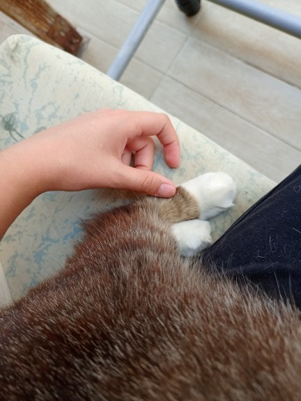 Seven sevdiğini çizer mi?